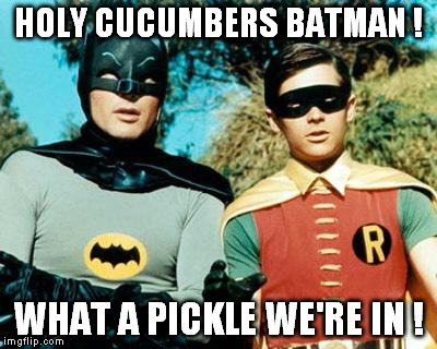 Holy _______ Batman | HOLY CUCUMBERS BATMAN ! WHAT A PICKLE WE'RE IN ! | image tagged in batman and robin | made w/ Imgflip meme maker