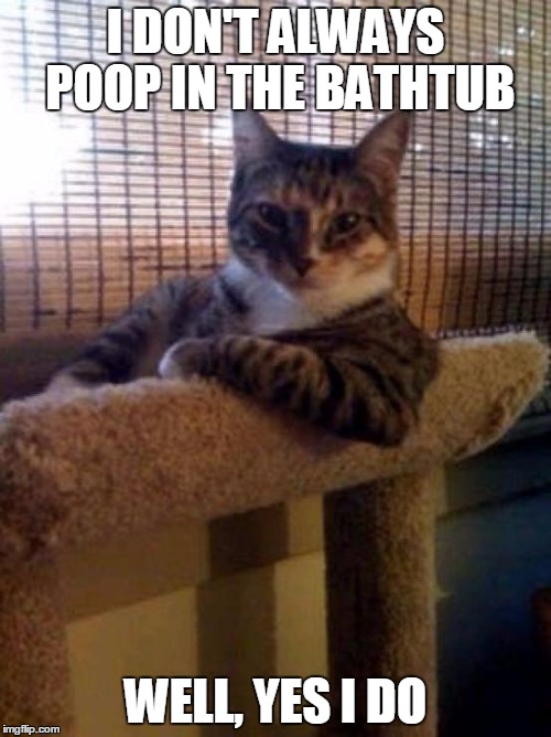 The Most Interesting Cat In The World | I DON'T ALWAYS POOP IN THE BATHTUB WELL, YES I DO | image tagged in memes,the most interesting cat in the world | made w/ Imgflip meme maker
