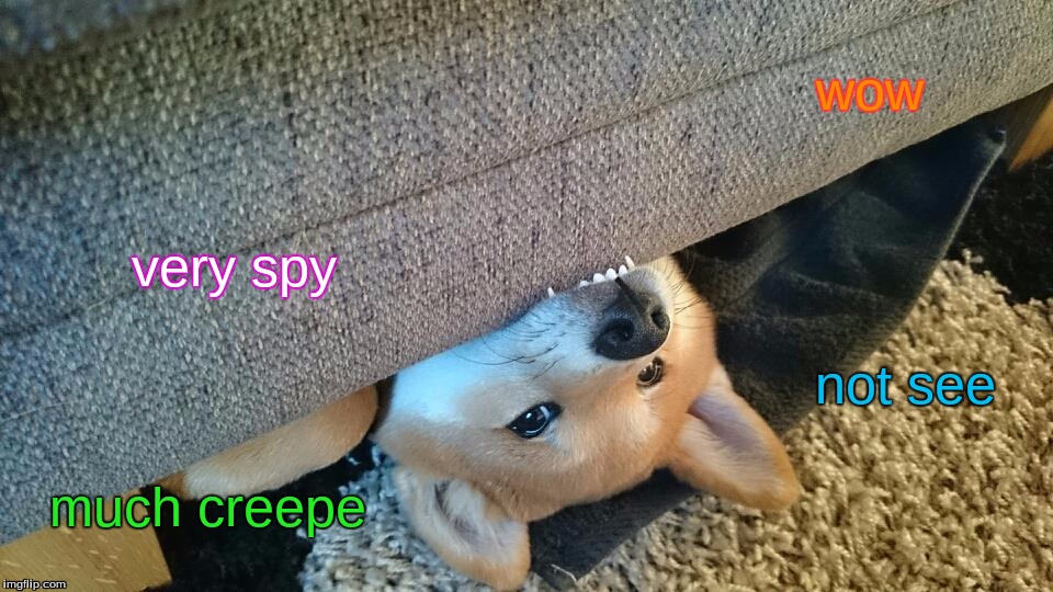 wow much creepe very spy not see | image tagged in much creep | made w/ Imgflip meme maker