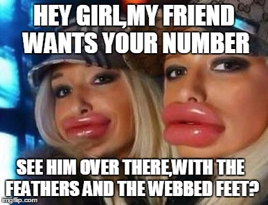 Duck Face Chicks | HEY GIRL,MY FRIEND WANTS YOUR NUMBER SEE HIM OVER THERE,WITH THE FEATHERS AND THE WEBBED FEET? | image tagged in memes,duck face chicks | made w/ Imgflip meme maker