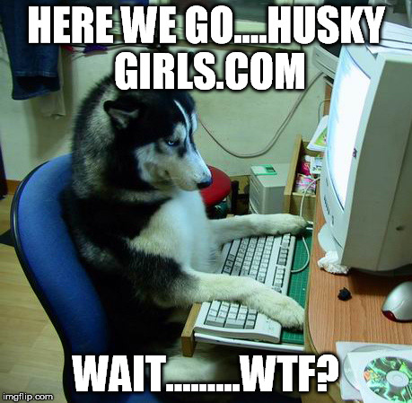 I Have No Idea What I Am Doing | HERE WE GO....HUSKY GIRLS.COM WAIT.........WTF? | image tagged in memes,i have no idea what i am doing | made w/ Imgflip meme maker