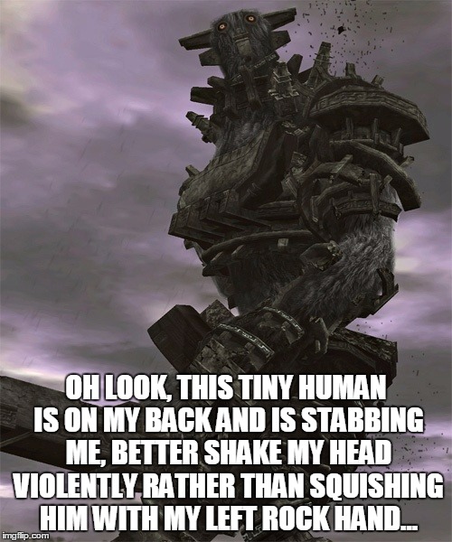Shadow of the Colossus Logic | OH LOOK, THIS TINY HUMAN IS ON MY BACK AND IS STABBING ME, BETTER SHAKE MY HEAD VIOLENTLY RATHER THAN SQUISHING HIM WITH MY LEFT ROCK HAND.. | image tagged in logic,gaming | made w/ Imgflip meme maker