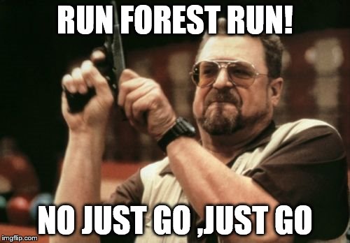 Am I The Only One Around Here | RUN FOREST RUN! NO JUST GO ,JUST GO | image tagged in memes,am i the only one around here | made w/ Imgflip meme maker
