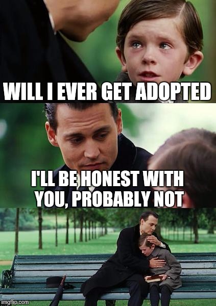 Finding Neverland Meme | WILL I EVER GET ADOPTED I'LL BE HONEST WITH YOU, PROBABLY NOT | image tagged in memes,finding neverland | made w/ Imgflip meme maker