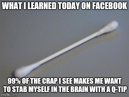 Q-tip | WHAT I LEARNED TODAY ON FACEBOOK 99% OF THE CRAP I SEE MAKES ME WANT TO STAB MYSELF IN THE BRAIN WITH A Q-TIP | image tagged in brain,facebook | made w/ Imgflip meme maker