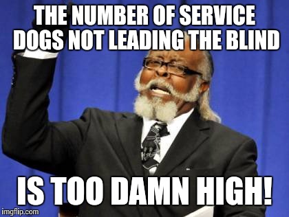 Seriously, they're everywhere; and not providing much "service". | THE NUMBER OF SERVICE DOGS NOT LEADING THE BLIND IS TOO DAMN HIGH! | image tagged in memes,too damn high | made w/ Imgflip meme maker