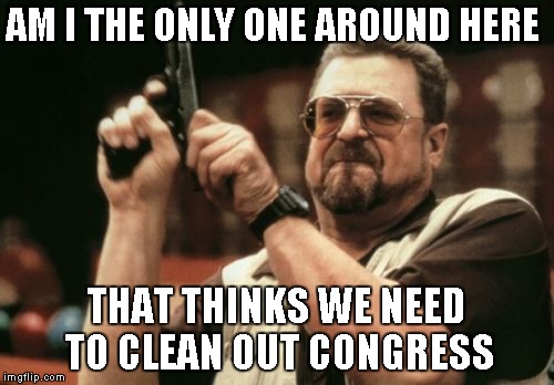 Am I The Only One Around Here Meme | AM I THE ONLY ONE AROUND HERE THAT THINKS WE NEED TO CLEAN OUT CONGRESS | image tagged in memes,am i the only one around here | made w/ Imgflip meme maker