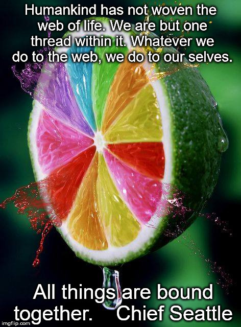 Lime | Humankind has not woven the web of life. We are but one thread within it. Whatever we do to the web, we do to our selves. All things are bou | image tagged in philosophy | made w/ Imgflip meme maker