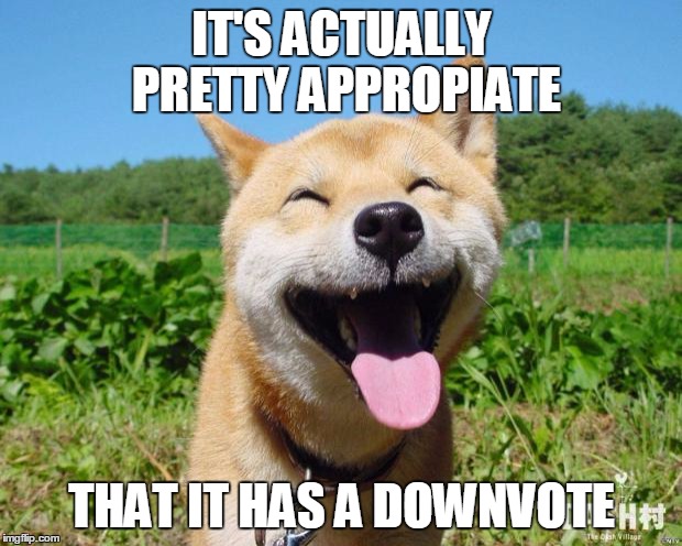 Happy Dog | IT'S ACTUALLY PRETTY APPROPIATE THAT IT HAS A DOWNVOTE | image tagged in happy dog | made w/ Imgflip meme maker