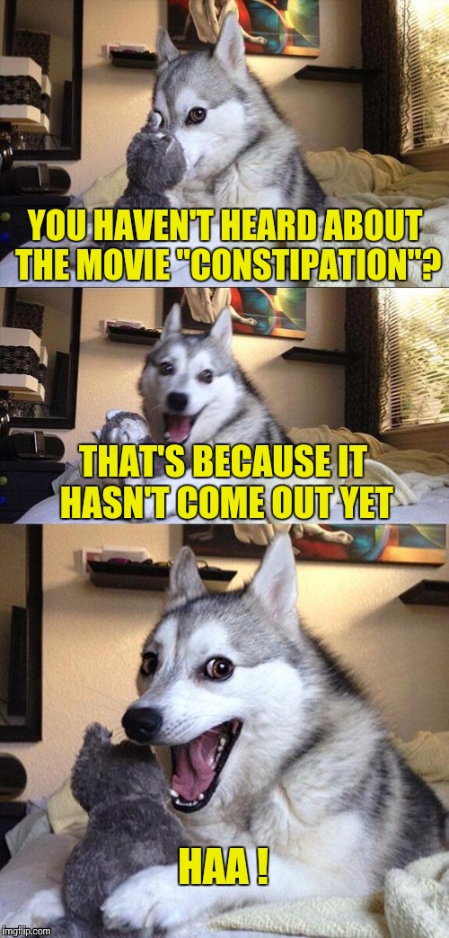 Constipation ?? | YOU HAVEN'T HEARD ABOUT THE MOVIE "CONSTIPATION"? THAT'S BECAUSE IT HASN'T COME OUT YET HAA ! | image tagged in memes,bad pun dog,poop | made w/ Imgflip meme maker