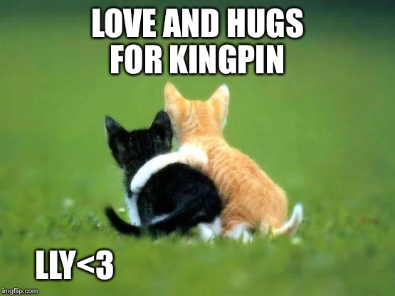 LOVE AND HUGS FOR KINGPIN LLY<3 | made w/ Imgflip meme maker