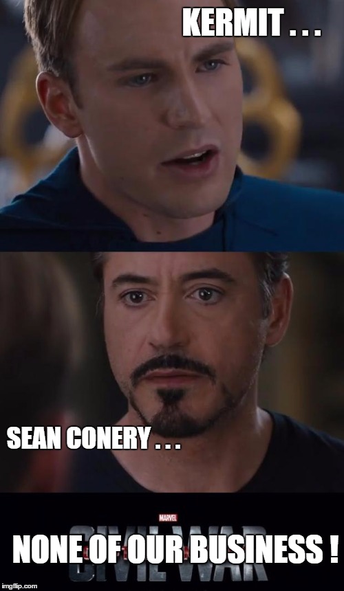 Marvel Civil War Meme | KERMIT . . . SEAN CONERY . . . NONE OF OUR BUSINESS ! | image tagged in marvel civil war template | made w/ Imgflip meme maker