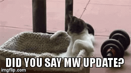 DID YOU SAY MW UPDATE? | image tagged in gifs | made w/ Imgflip video-to-gif maker