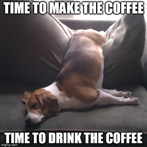 Tired pup  | TIME TO MAKE THE COFFEE TIME TO DRINK THE COFFEE | image tagged in tired pup | made w/ Imgflip meme maker