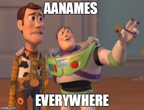 X, X Everywhere Meme | AANAMES EVERYWHERE | image tagged in memes,x x everywhere | made w/ Imgflip meme maker