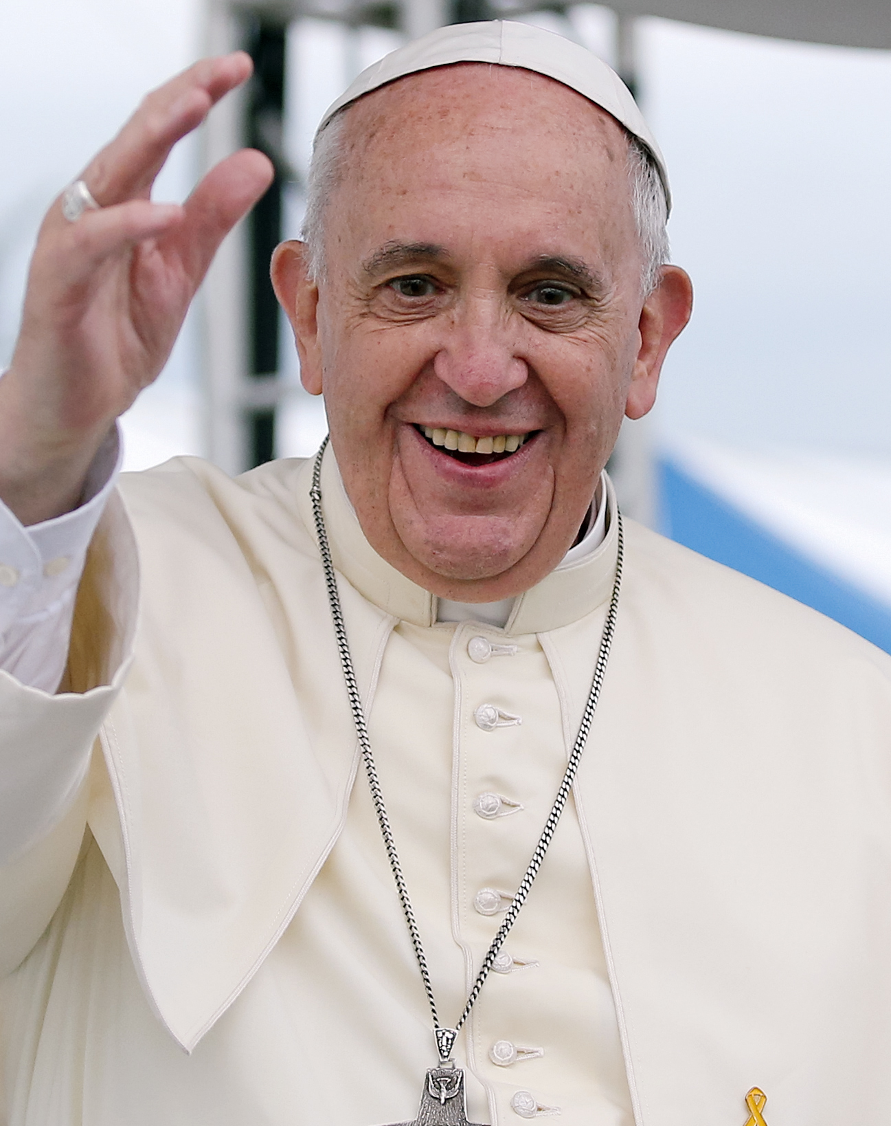 Pope Francis Blank Meme Template