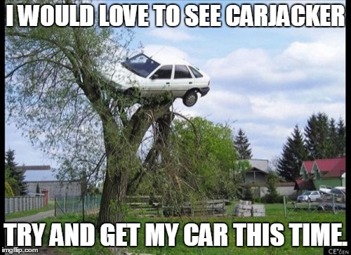 Secure Parking | I WOULD LOVE TO SEE CARJACKER TRY AND GET MY CAR THIS TIME. | image tagged in memes,secure parking | made w/ Imgflip meme maker