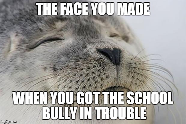 Satisfied Seal | THE FACE YOU MADE WHEN YOU GOT THE SCHOOL BULLY IN TROUBLE | image tagged in memes,satisfied seal | made w/ Imgflip meme maker