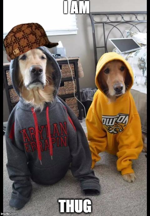 thug Dogs | I AM THUG | image tagged in thug dogs,scumbag | made w/ Imgflip meme maker