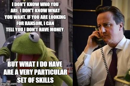 I DON'T KNOW WHO YOU ARE. I DON'T KNOW WHAT YOU WANT. IF YOU ARE LOOKING FOR RANSOM, I CAN TELL YOU I DON'T HAVE MONEY. BUT WHAT I DO HAVE A | image tagged in kermit the frog | made w/ Imgflip meme maker