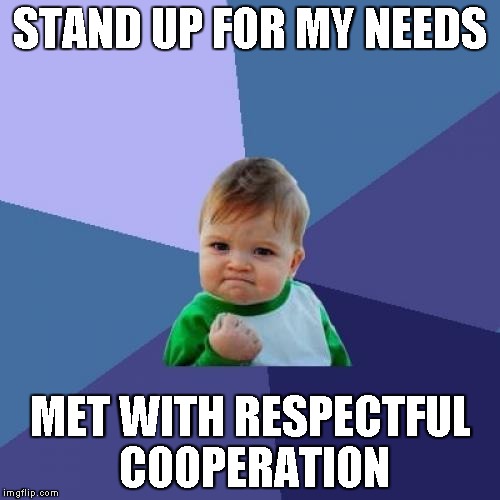 perhaps some people are reasonable after all | STAND UP FOR MY NEEDS MET WITH RESPECTFUL COOPERATION | image tagged in memes,success kid | made w/ Imgflip meme maker