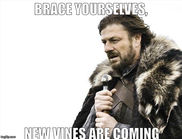 Brace Yourselves X is Coming | BRACE YOURSELVES, NEW VINES ARE COMING | image tagged in memes,brace yourselves x is coming | made w/ Imgflip meme maker
