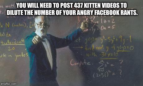 math teacher  | YOU WILL NEED TO POST 437 KITTEN VIDEOS TO DILUTE THE NUMBER OF YOUR ANGRY FACEBOOK RANTS. | image tagged in math teacher  | made w/ Imgflip meme maker