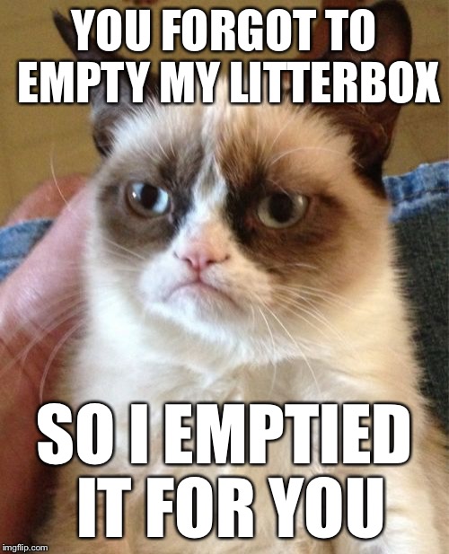 Grumpy Cat Meme | YOU FORGOT TO EMPTY MY LITTERBOX SO I EMPTIED IT FOR YOU | image tagged in memes,grumpy cat | made w/ Imgflip meme maker