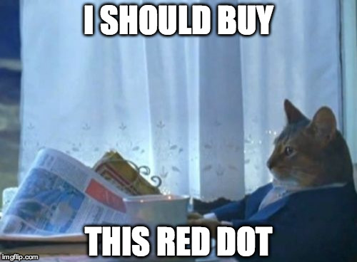 I Should Buy A Boat Cat | I SHOULD BUY THIS RED DOT | image tagged in memes,i should buy a boat cat | made w/ Imgflip meme maker