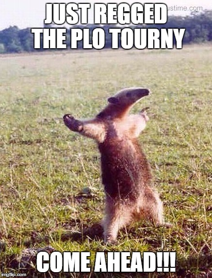 Anteater wanting to fight | JUST REGGED THE PLO TOURNY COME AHEAD!!! | image tagged in anteater wanting to fight | made w/ Imgflip meme maker
