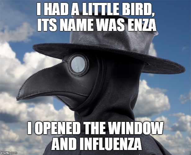I HAD A LITTLE BIRD, ITS NAME WAS ENZA I OPENED THE WINDOW AND INFLUENZA | image tagged in enza | made w/ Imgflip meme maker
