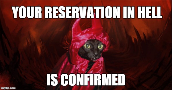Evil Cat | YOUR RESERVATION IN HELL IS CONFIRMED | image tagged in evil cat | made w/ Imgflip meme maker