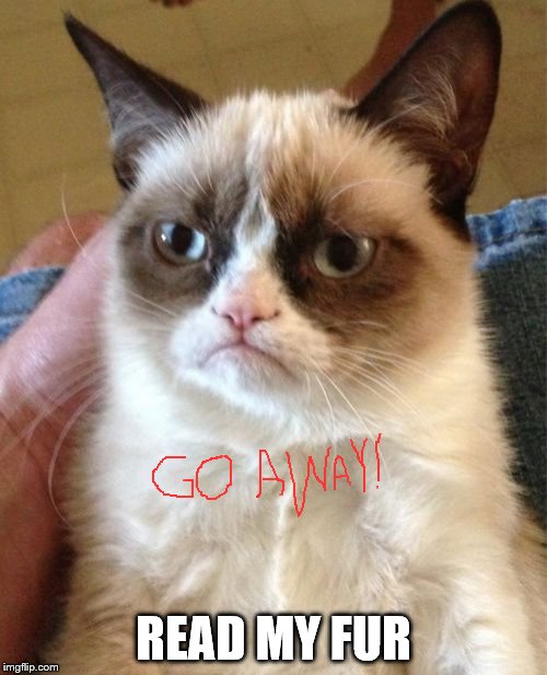 Grumpy Cat | READ MY FUR | image tagged in memes,grumpy cat | made w/ Imgflip meme maker