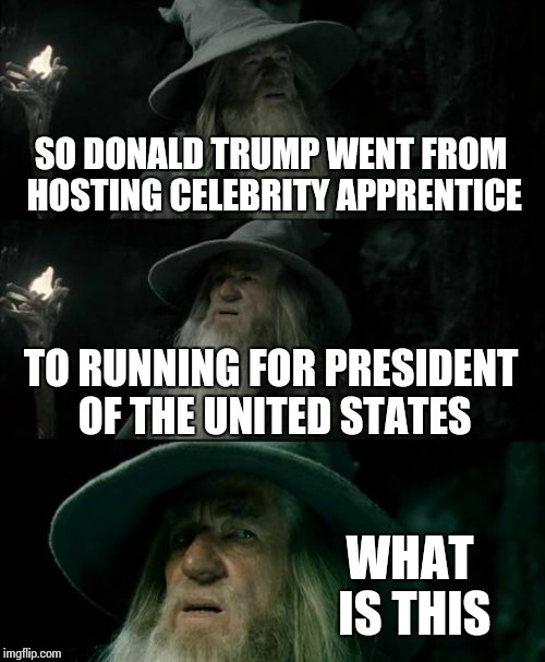 Confused Gandalf Meme | SO DONALD TRUMP WENT FROM HOSTING CELEBRITY APPRENTICE TO RUNNING FOR PRESIDENT OF THE UNITED STATES WHAT IS THIS | image tagged in memes,confused gandalf,donald trump,celebrity | made w/ Imgflip meme maker