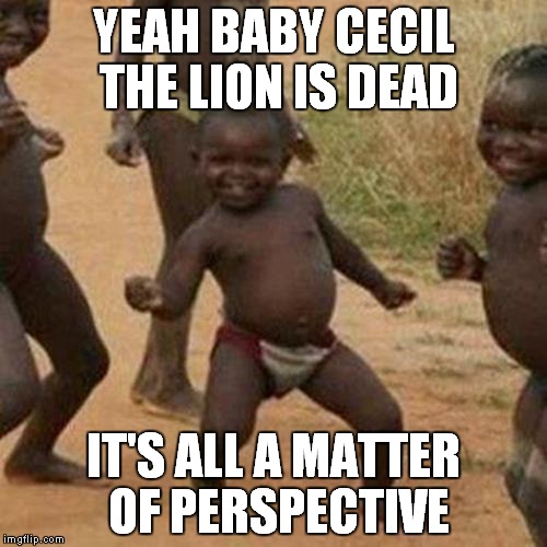 Third World Success Kid | YEAH BABY CECIL THE LION IS DEAD IT'S ALL A MATTER OF PERSPECTIVE | image tagged in memes,third world success kid | made w/ Imgflip meme maker