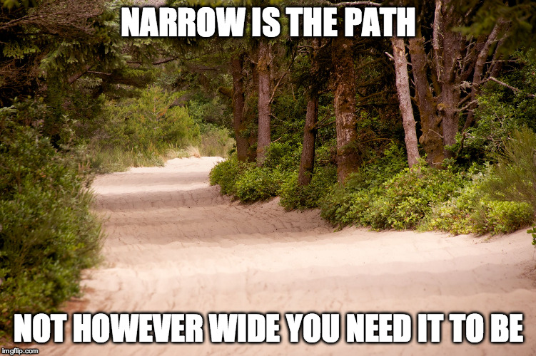 NARROW IS THE PATH NOT HOWEVER WIDE YOU NEED IT TO BE | image tagged in path | made w/ Imgflip meme maker