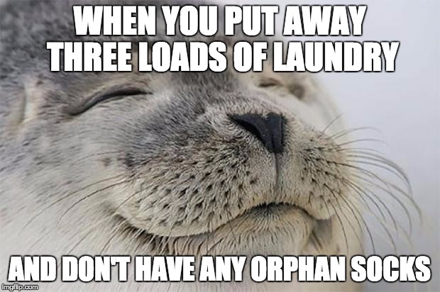 Satisfied Seal Meme | WHEN YOU PUT AWAY THREE LOADS OF LAUNDRY AND DON'T HAVE ANY ORPHAN SOCKS | image tagged in memes,satisfied seal,AdviceAnimals | made w/ Imgflip meme maker