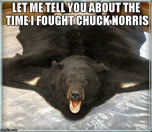 LET ME TELL YOU ABOUT THE TIME I FOUGHT CHUCK NORRIS | image tagged in bearskin rug | made w/ Imgflip meme maker