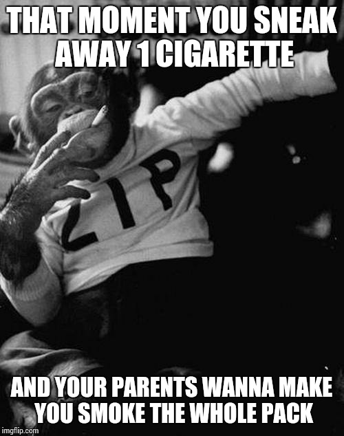 smoking monkey  | THAT MOMENT YOU SNEAK AWAY 1 CIGARETTE AND YOUR PARENTS WANNA MAKE YOU SMOKE THE WHOLE PACK | image tagged in smoking monkey | made w/ Imgflip meme maker
