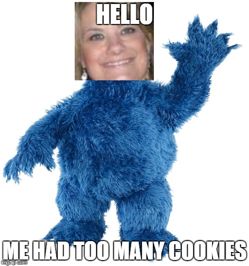 HELLO ME HAD TOO MANY COOKIES | image tagged in memes | made w/ Imgflip meme maker