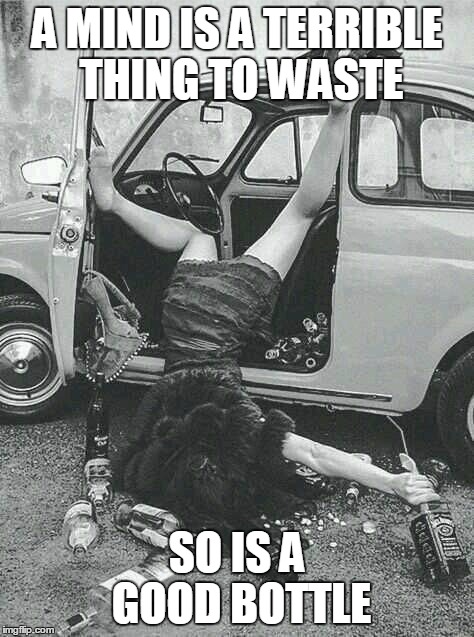 Drunk Girl  | A MIND IS A TERRIBLE THING TO WASTE SO IS A GOOD BOTTLE | image tagged in drunk girl  | made w/ Imgflip meme maker