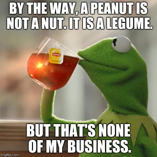 But That's None Of My Business Meme | BY THE WAY, A PEANUT IS NOT A NUT. IT IS A LEGUME. BUT THAT'S NONE OF MY BUSINESS. | image tagged in memes,but thats none of my business,kermit the frog | made w/ Imgflip meme maker