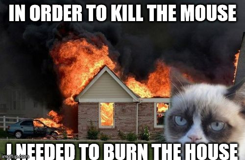 Burn Kitty | IN ORDER TO KILL THE MOUSE I NEEDED TO BURN THE HOUSE | image tagged in memes,burn kitty | made w/ Imgflip meme maker
