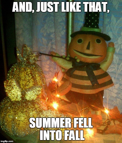 AND, JUST LIKE THAT, SUMMER FELL INTO FALL | image tagged in fall | made w/ Imgflip meme maker