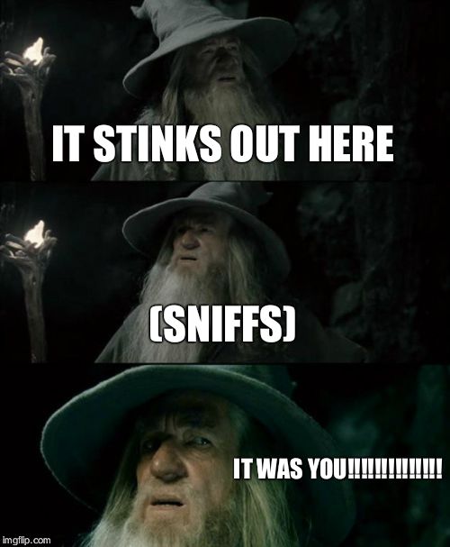 Confused Gandalf Meme | IT STINKS OUT HERE (SNIFFS) IT WAS YOU!!!!!!!!!!!!!! | image tagged in memes,confused gandalf | made w/ Imgflip meme maker