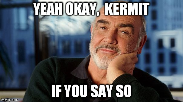 YEAH OKAY,  KERMIT IF YOU SAY SO | image tagged in sean | made w/ Imgflip meme maker