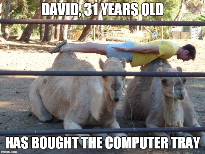 camel | DAVID, 31 YEARS OLD HAS BOUGHT THE COMPUTER TRAY | image tagged in sarcastic camel | made w/ Imgflip meme maker