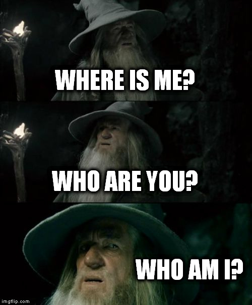 Confused Gandalf Meme | WHERE IS ME? WHO ARE YOU? WHO AM I? | image tagged in memes,confused gandalf | made w/ Imgflip meme maker