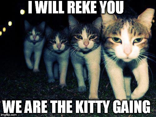 Wrong Neighboorhood Cats Meme | I WILL REKE YOU WE ARE THE KITTY GAING | image tagged in memes,wrong neighboorhood cats | made w/ Imgflip meme maker