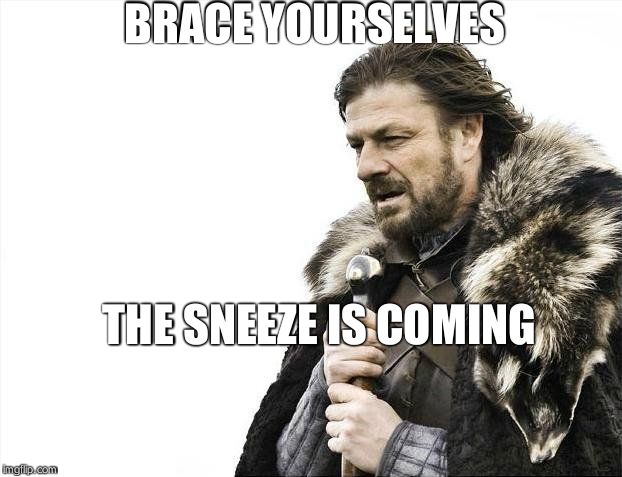 Brace Yourselves X is Coming Meme | BRACE YOURSELVES THE SNEEZE IS COMING | image tagged in memes,brace yourselves x is coming | made w/ Imgflip meme maker